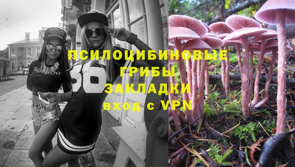 дмт Алзамай